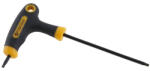 FESTA cheie T10 CrV (17353F)