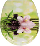 Frogee Duroplast WC ülőke - Rozsdamentes zsanérokkal - GREEN ZEN (GH-TS-DPEC-C07)