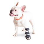  Walkinpets - Orteza cu talpă pentru labele din față la câini M