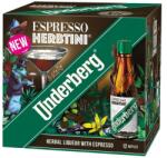 Underberg Bitter Underberg Espresso Herbtini Cutie Carton 27% Alc. 12*20ml (UND16)