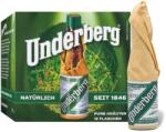 Underberg Bitter Underberg Cutie Carton 44% alc. 12x20ml (UND11)