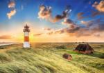 Trefl - Puzzle Puzzle Premium Plus Photo Odyssey: List-Ost Lighthouse, Germany - 1 000 piese