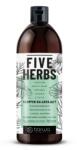 Barwa Cosmetics Sampon reechilibrant, par normal si gras, pe baza de 5 plante Five Herbs, Barwa Cosmetics, 480 ml (2908278100220)