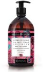 Barwa Cosmetics Sapun lichid hranitor, cu trandafir si aloe vera, Barwa Natural Expert 500 ml (3007130160410)