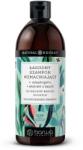 Barwa Cosmetics Sampon hranitor Natural Expert cu adaptogeni si extract de busuioc, Barwa Cosmetics, 480 ml (3012350870220)