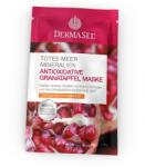 Dermasel Masca faciala cu rodie Dermasel 12 ml (910514) Masca de fata