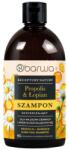 Barwa Cosmetics Sampon purifiant cu propolis si brusture, Barwa Cosmetics, 380 ml (4308410180620)