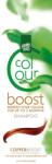 HennaPlus Sampon colorant, Colour Boost Copper, Hennaplus, 200 ml (21503)