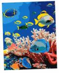 Ideyka Festmény Számok Szerint Az Óceán Élete 40X50CM (KHO6704)