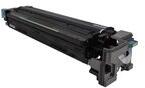 Ricoh D0BM2221
