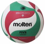  Molten V5M5000 FLISTATEC verseny röplabda