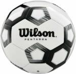 Wilson Pentagon focilabda
