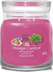 Yankee Candle Art in the Park 368 g