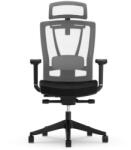 FlexiSpot BS14 Ergonomikus Irodai Szék, Fekete - Állítható Deréktámasszal (BS14B)