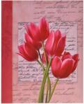 Zep Carta Tulipánok 200 (0109_0154C)