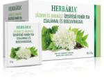Herbária Jázmin és ananász ízesítésű fehér tea csalánnal és bodzavirággal 20*1, 5 g