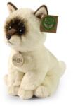 Rappa Pisică de pluș ragdoll 23 cm COLECȚIA SOFT (RP250802)