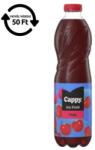 Cappy Üdítőital szénsavmentes CAPPY Ice Fruit Meggy 1, 5L DRS (2621401) - nyomtassingyen