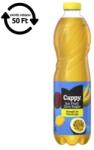 Cappy Üdítőital szénsavmentes CAPPY Ice Fruit Zero Mango-maracuja 1, 5L DRS (2662501) - nyomtassingyen