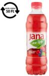 Jana Üdítőital szénsavmentes JANA erdei gyümölcs-áfonya 0, 5L DRS - nyomtassingyen