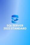 Microsoft SQL Server 2022 Standard (16 Core) (licenta digitala) (DG7GMGF0M80J-0002)