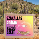  Szakállas agáma HIGH kezdőcsomag - bébi agámáknak