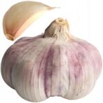  Fokhagyma Lengyel Harnasz Téli Gazdától Ételig 55-60mm 1db Füstölő (71)