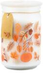 Emocio Üveg 93X142 Mm Üvegtetővel Autumn Leaves Illatgyertya