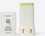Beauty of Joseon Matte Sun Stick Mugwort&Camelia SPF50+ PA++++