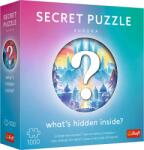 Trefl - Puzzle Premium Plus Puzzle secret: Aurora - 1 000 piese Puzzle