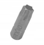 Craftomat bithegy készlet TX40 25 mm Torx fém (206658)