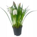 Ewax Mesterséges hóvirág 21cm, tavaszi hóvirág fekete cserépben (1065)