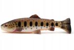 Savage Gear Gumi Savage Gear 3D Craft Trout PULSETAIL-20, 0 cm (71848)