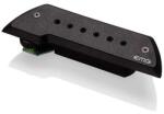 EMG - ACS Akusztikus hanglyuk-pickup
