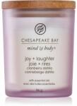 Chesapeake Bay Joy & Laughter 96 g