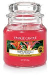 Yankee Candle Tropical Jungle 104 g