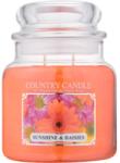 The Country Candle Company Sunshine & Daisies 453 g