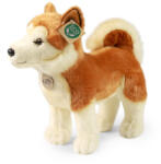 Rappa Akita kutya 30 cm