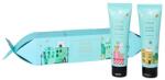Douglas Winter Wonder - Shower cracker 1 darab
