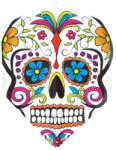 Harrows Fluturasi Darts Harrows Quadro, Calavera (HTQ2003)