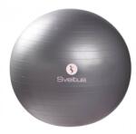 SVELTUS GYMBALL STANDARD 65 fitnesz labda szürke