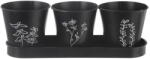 Orion Метални саксии за билки в комплект от 3 бр. ø 11 cm Black - Orion (310628)