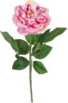 Ixia Изкуствено цвете (височина 43 cm) Rose - Ixia (604054)