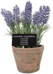 Esschert Design Изкуствено цвете (височина 17, 5 cm) Lavender - Esschert Design (ZEE-AH010)