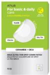 ANUA - Ultra-Thin Spot Cover Patch - 75ea