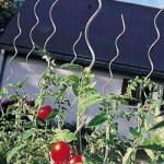 NORTENE Tomato Spiral, spirál alakú paradicsomkaró 1, 8m