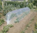 NORTENE mini clip műanyag rögzítő