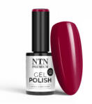 NTN Premium UV/LED Géllakk 171# (HEMA Free)