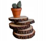 Woodson WoodsonDeko fa szeletek kéreggel természetes kerti ház dekoráció 5 db (5902768819731)