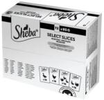Sheba alutasak baromfi ízesítésben macskák részére 72x85 g 72 x 85 g (DJ00E)
